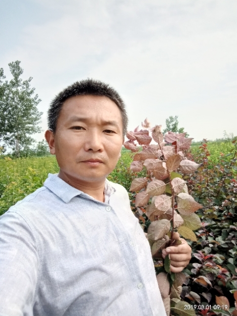 孩子爸的第二张照片--九江相亲服务中心