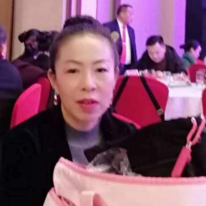 中秋桂花玉兔的第四张照片--九江相亲服务中心
